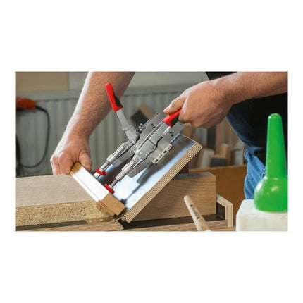 Morsetto per barra di spinta BESSEY misura 25 ( 4123716102 )