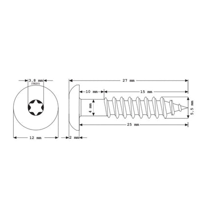 Meisterling Fassadenschrauben 5,5x25 mm 100 Stück ( 010030000011 ) 12 mm Flachkopf anthrazit mit Torx Teilgewinde V4A Edelstahl