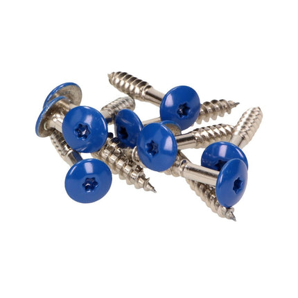 Meisterling Vite per facciate 5,5x35 mm, 100 pz. ( 010030000161 ) - Testa piatta da 12mm, blu genziana, filettatura parziale Torx, in acciaio inossidabile V4A