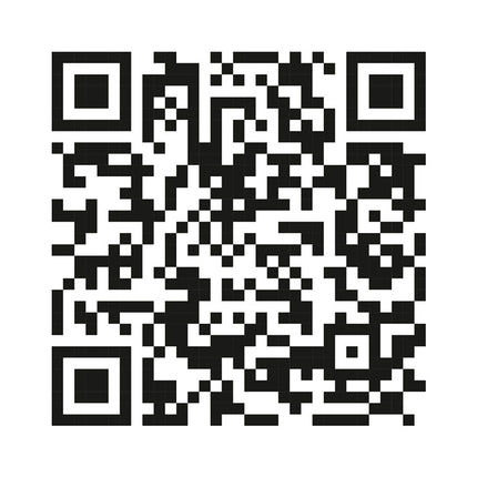 DOLEZYCH Cinghia di ancoraggio DIN EN 12195-2 Lunghezza 5 m Larghezza 50 mm ( 4000365003 )